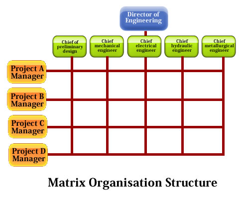 Matrix Management Structure