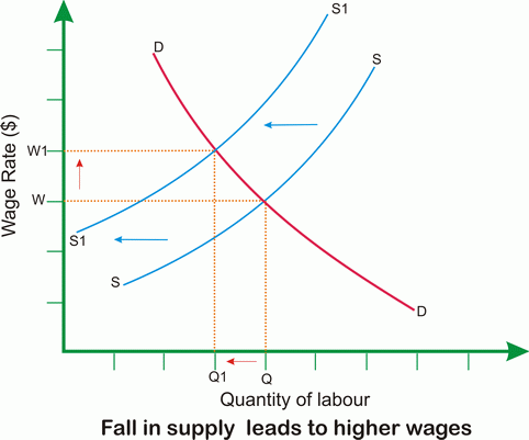 effect of fall in supply on wages