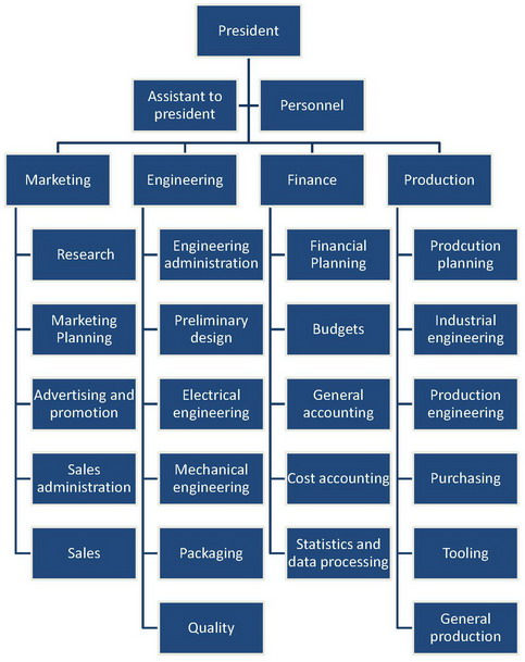 functional organisation